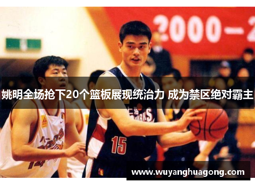 姚明全场抢下20个篮板展现统治力 成为禁区绝对霸主