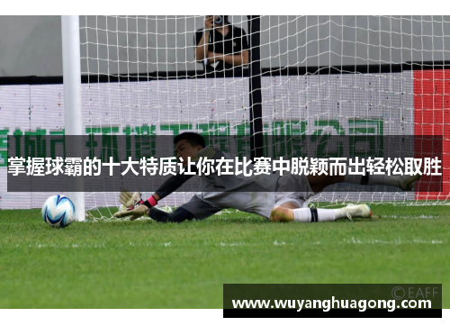 掌握球霸的十大特质让你在比赛中脱颖而出轻松取胜