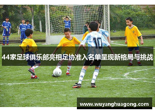 44家足球俱乐部亮相足协准入名单呈现新格局与挑战