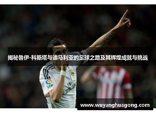 揭秘鲁伊-科斯塔与迪马利亚的足球之路及其辉煌成就与挑战