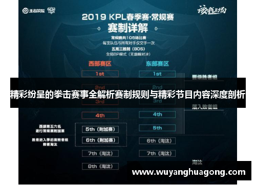 精彩纷呈的拳击赛事全解析赛制规则与精彩节目内容深度剖析