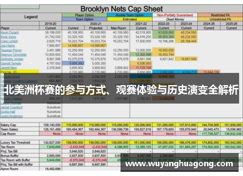 北美洲杯赛的参与方式、观赛体验与历史演变全解析