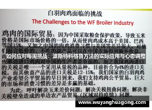 如何应对每周挑战：波斯特科格鲁方法的实际应用与心态调整